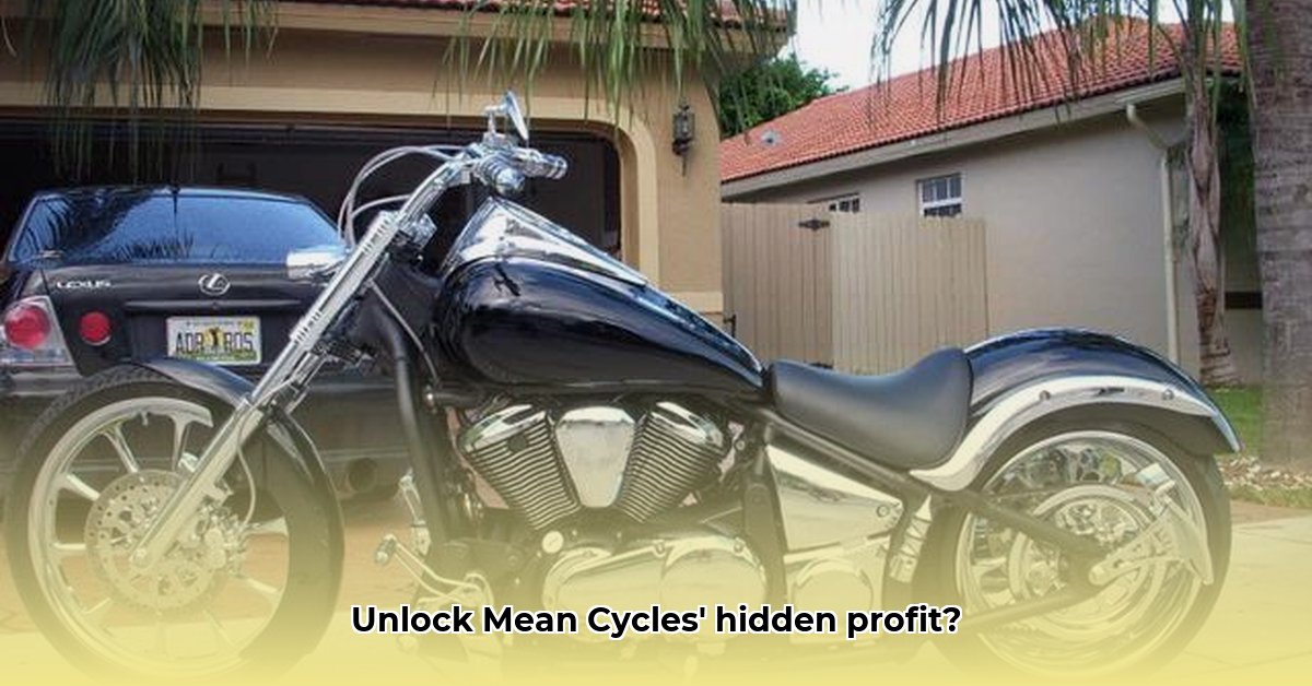 mean-cycles